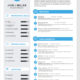 Professional Resume Template